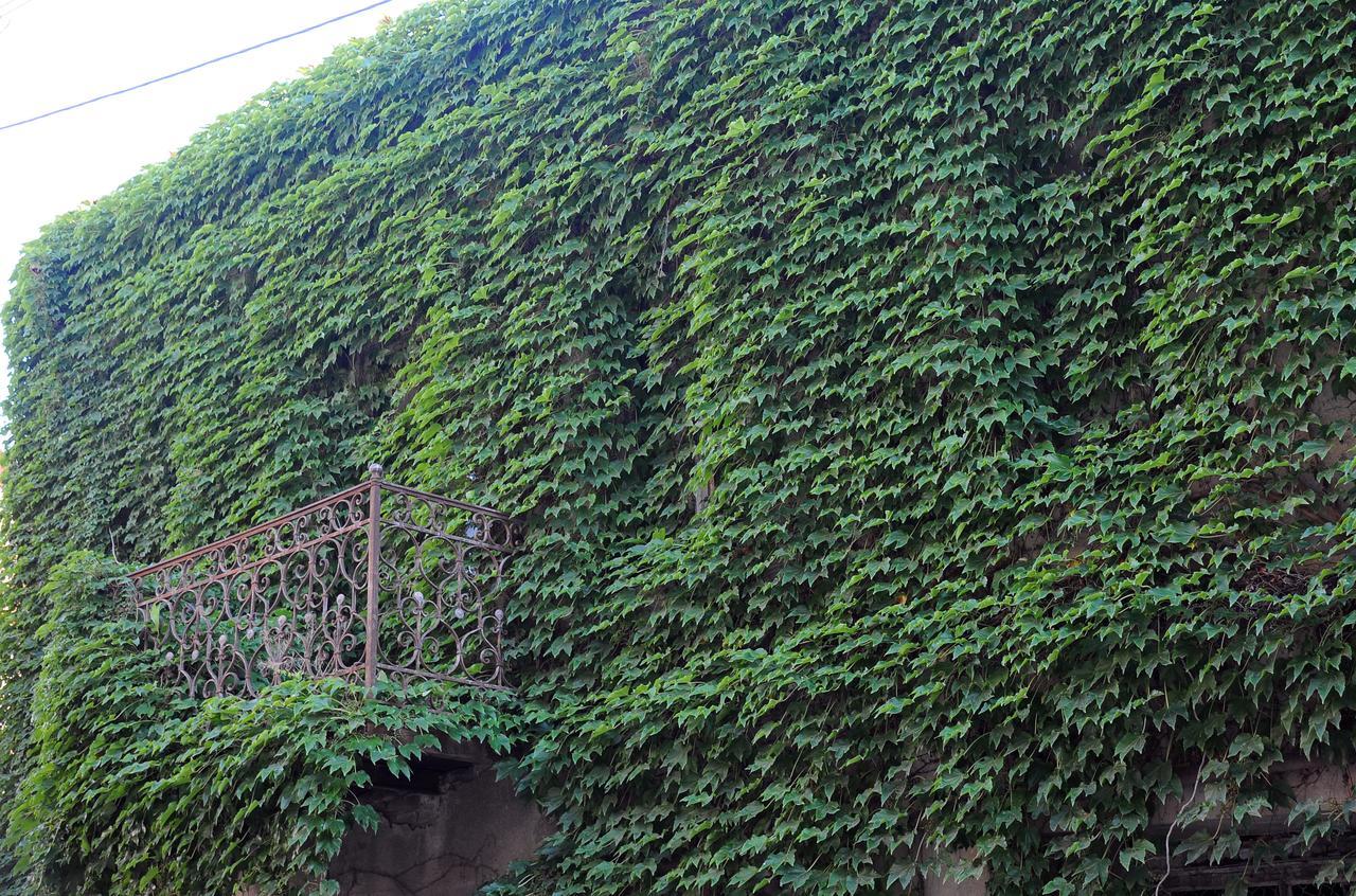 Old Walls 1 第比利斯 外观 照片